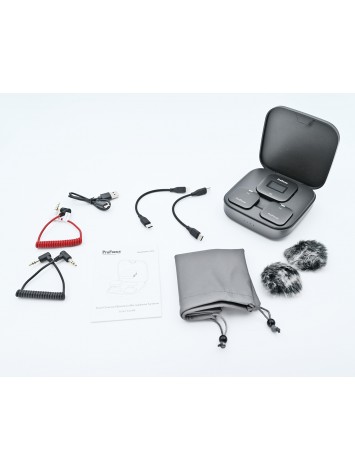 Dual Channel  Wireless  Microphone PF55