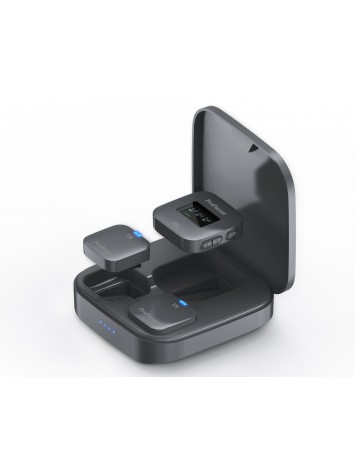 Dual Channel  Wireless  Microphone PF55