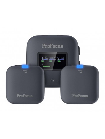 Dual Channel  Wireless  Microphone PF55