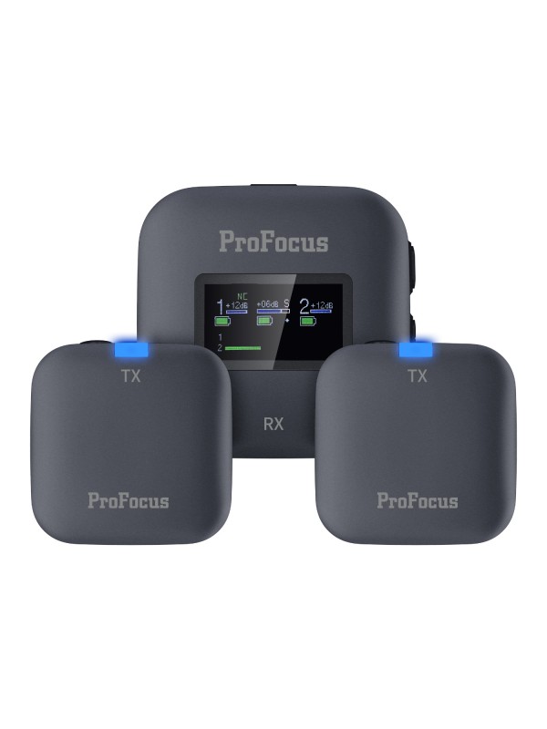 Dual Channel  Wireless  Microphone PF55